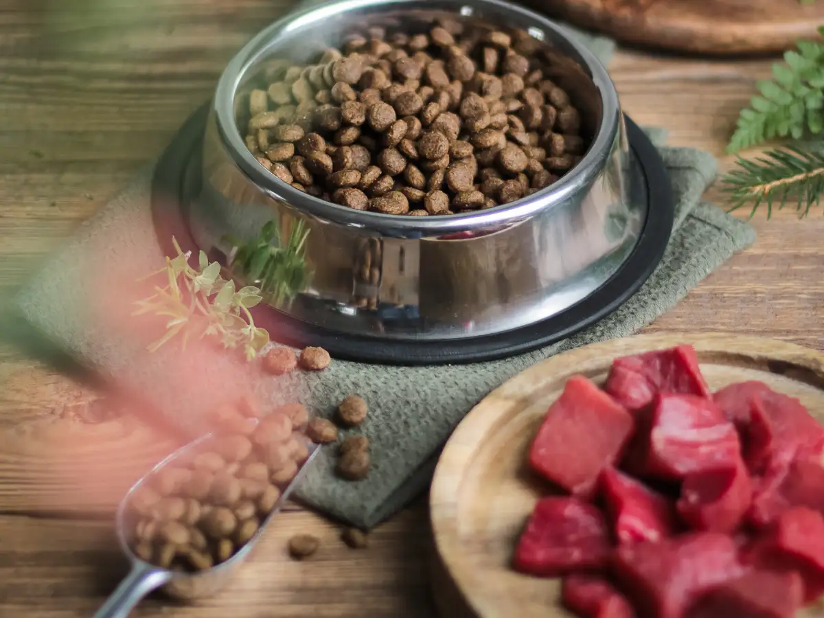 Todo Pienso Alcalá-Tienda De Mascotas - PIENSO PARA PERROS Y GATOS